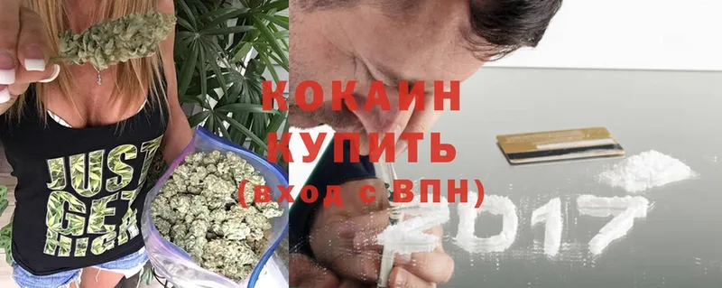 Cocaine Эквадор  купить  цена  Курск 